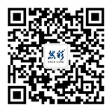 查看手機(jī)站